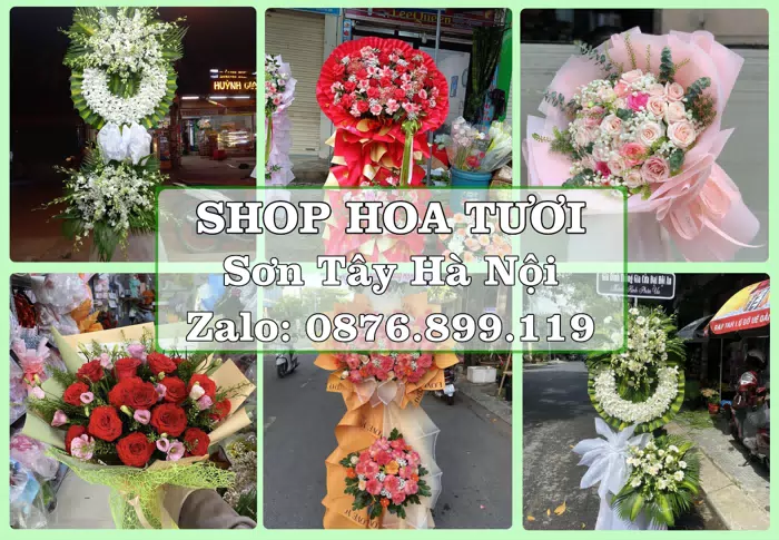 Shop hoa tươi tại Sơn Tây Hà Nội – Hoa tươi và trái cây, dễ chọn theo từng dịp · ảnh 1
