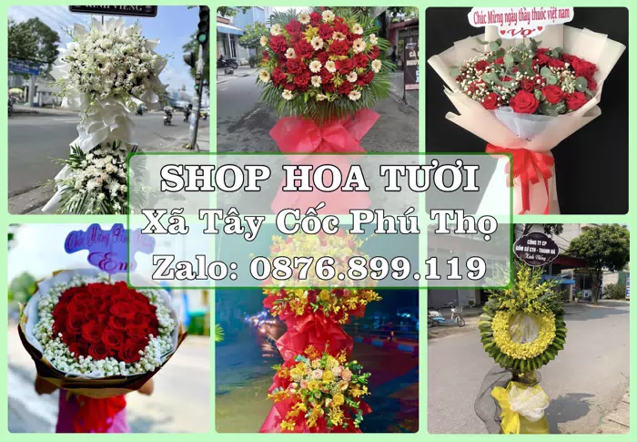 Shop hoa tươi tại Xã Tây Cốc Phú Thọ – Hoa chúc mừng, quà biếu theo nhu cầu · ảnh 1