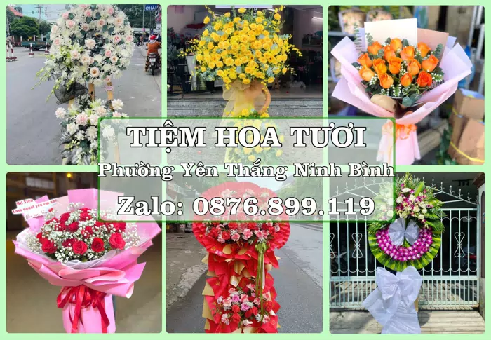 Shop hoa tươi tại Phường Yên Thắng Ninh Bình – Gửi lời quan tâm bằng hoa và trái cây · ảnh 1