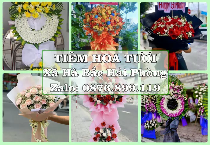 Shop hoa tươi tại Xã Hà Bắc Hải Phòng – Tìm món quà hợp dịp, hợp người nhận · ảnh 1