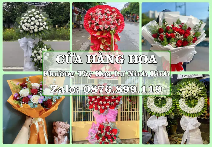 Shop hoa tươi tại Phường Tây Hoa Lư Ninh Bình – Hoa chúc mừng, quà biếu theo nhu cầu · ảnh 1