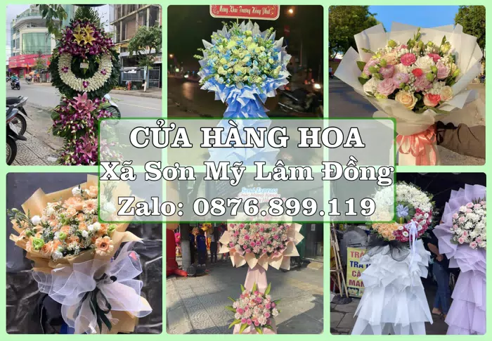 Shop hoa tươi tại Xã Sơn Mỹ Lâm Đồng – Tư vấn hoa và trái cây theo ngân sách · ảnh 1