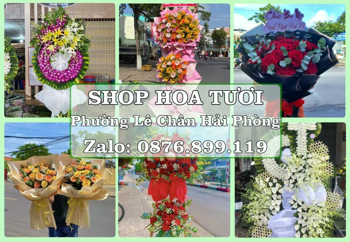 Shop hoa tươi tại Phường Lê Chân Hải Phòng – Hoa chúc mừng, quà biếu theo nhu cầu · ảnh 1