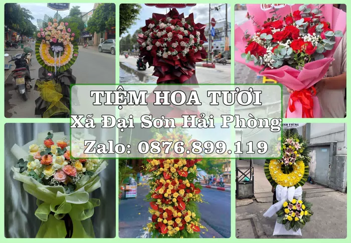 Shop hoa tươi tại Xã Đại Sơn Hải Phòng – Hoa xinh, trái cây cho những dịp gần gũi · ảnh 1
