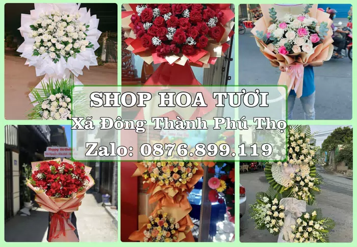 Shop hoa tươi tại Xã Đông Thành Phú Thọ – Hoa tươi và trái cây, dễ chọn theo từng dịp · ảnh 1