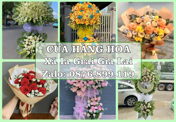 Shop hoa tươi tại Xã Ia Grai Gia Lai – Tư vấn hoa và trái cây theo ngân sách · ảnh 1