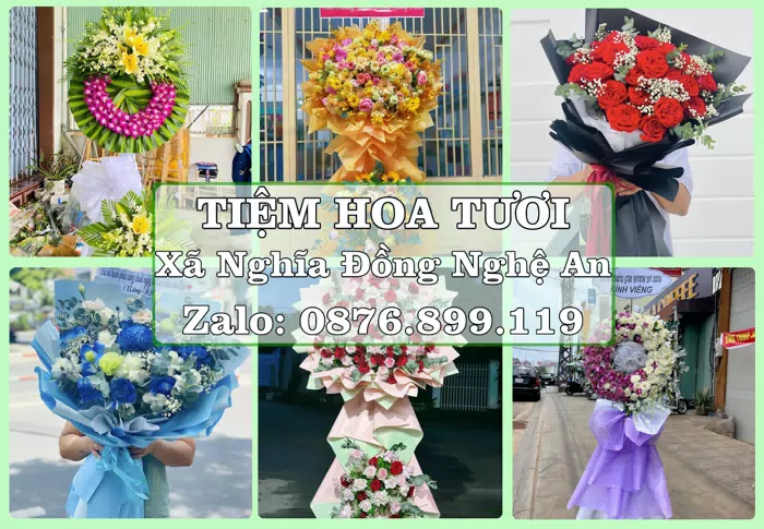 Shop hoa tươi tại Xã Nghĩa Đồng Nghệ An – Hoa tươi và trái cây, dễ chọn theo từng dịp · ảnh 1