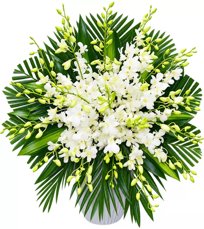 Tưởng Niệm – giỏ hoa phân ưu lan trắng