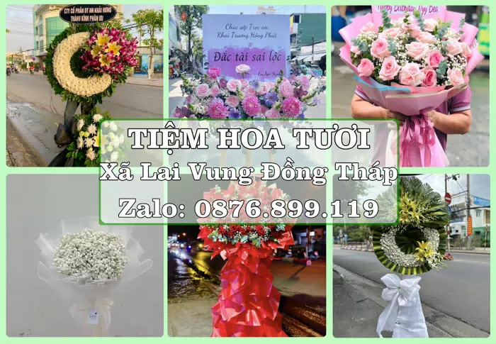 Shop hoa tươi tại Xã Lai Vung Đồng Tháp – Tư vấn hoa và trái cây theo ngân sách · ảnh 1