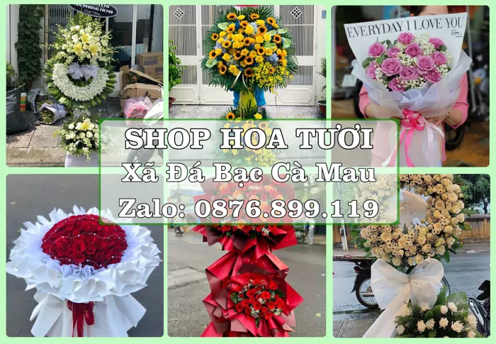 Shop hoa tươi tại Xã Đá Bạc Cà Mau – Hoa tươi và trái cây, dễ chọn theo từng dịp · ảnh 1