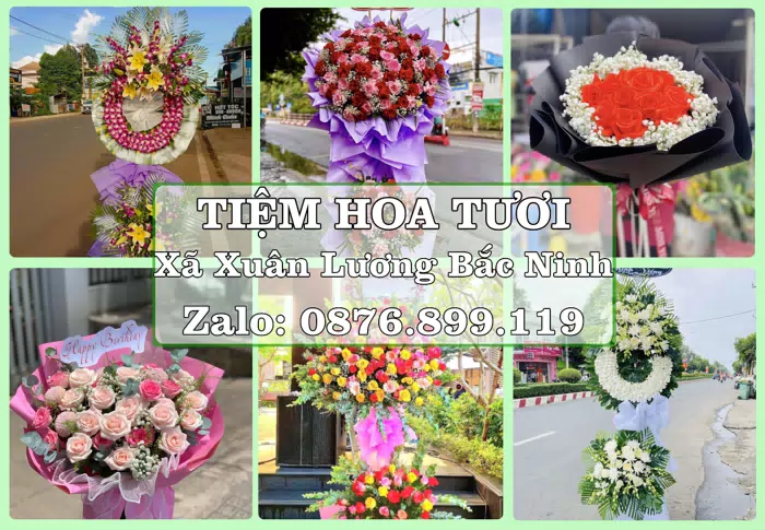 Shop hoa tươi tại Xã Xuân Lương Bắc Ninh – Hoa xinh, trái cây cho những dịp gần gũi · ảnh 1