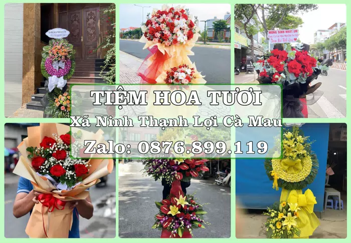 Shop hoa tươi tại Xã Ninh Thạnh Lợi Cà Mau – Đặt quà gửi người thân từ xa · ảnh 1