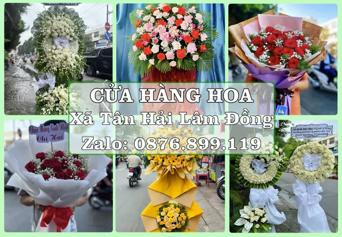 Shop hoa tươi tại Xã Tân Hải Lâm Đồng – Chọn hoa, chọn giỏ quà thật chu đáo · ảnh 1