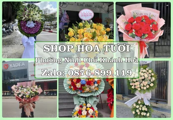 Shop hoa tươi tại Phường Ninh Chử Khánh Hoà – Đặt quà gửi người thân từ xa · ảnh 1