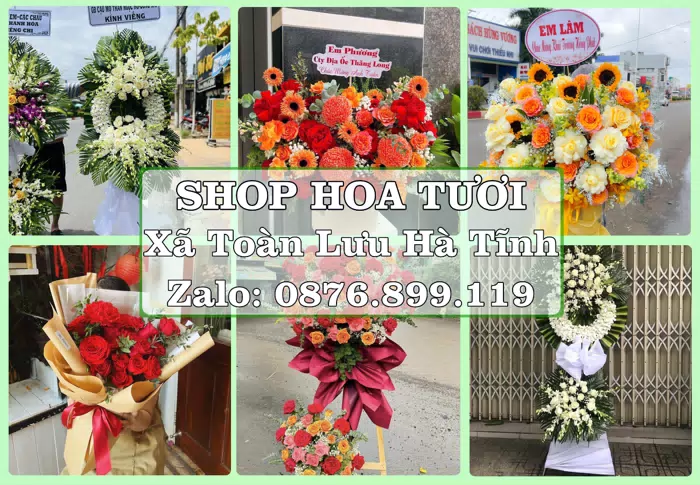 Shop hoa tươi tại Xã Toàn Lưu Hà Tĩnh – Tư vấn hoa và trái cây theo ngân sách · ảnh 1