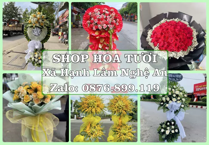 Shop hoa tươi tại Xã Hạnh Lâm Nghệ An – Hoa chúc mừng, quà biếu theo nhu cầu · ảnh 1