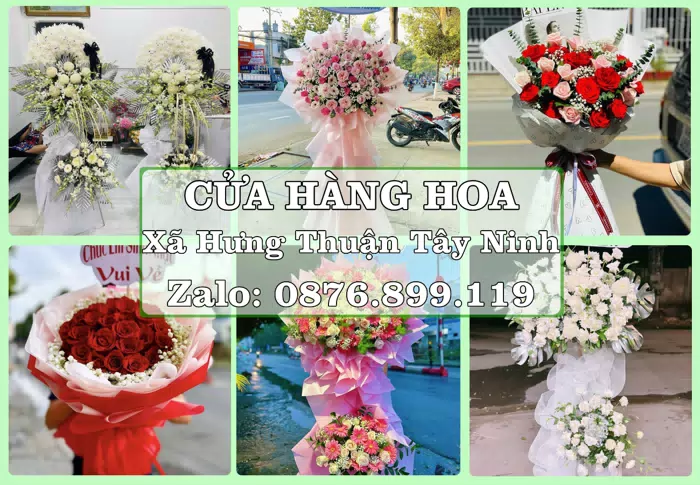 Shop hoa tươi tại Xã Hưng Thuận Tây Ninh – Tư vấn hoa và trái cây theo ngân sách · ảnh 1