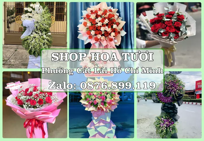 Shop hoa tươi tại Phường Cát Lái Hồ Chí Minh – Từ bó hoa tặng đến giỏ trái cây biếu · ảnh 1