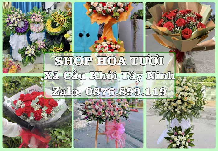 Shop hoa tươi tại Xã Cầu Khởi Tây Ninh – Chuẩn bị hoa và quà cho dịp sắp tới · ảnh 1