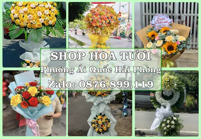 Shop hoa tươi tại Phường Ái Quốc Hải Phòng – Chọn hoa, chọn giỏ quà thật chu đáo · ảnh 1
