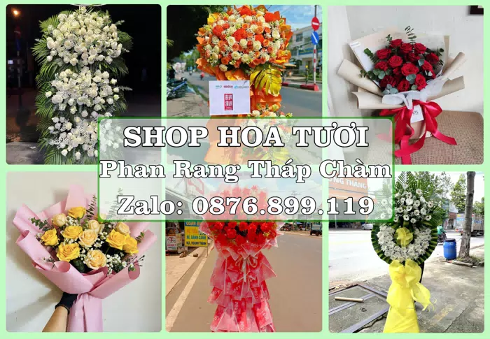 Shop hoa tươi tại Phan Rang Tháp Chàm – Gửi lời quan tâm bằng hoa và trái cây · ảnh 1