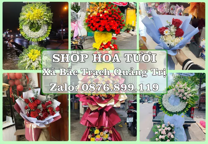 Shop hoa tươi tại Xã Bắc Trạch Quảng Trị – Món quà chỉn chu từ những điều nhỏ · ảnh 1