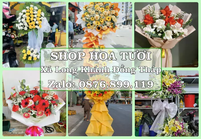 Shop hoa tươi tại Xã Long Khánh Đồng Tháp – Tư vấn hoa và trái cây theo ngân sách · ảnh 1