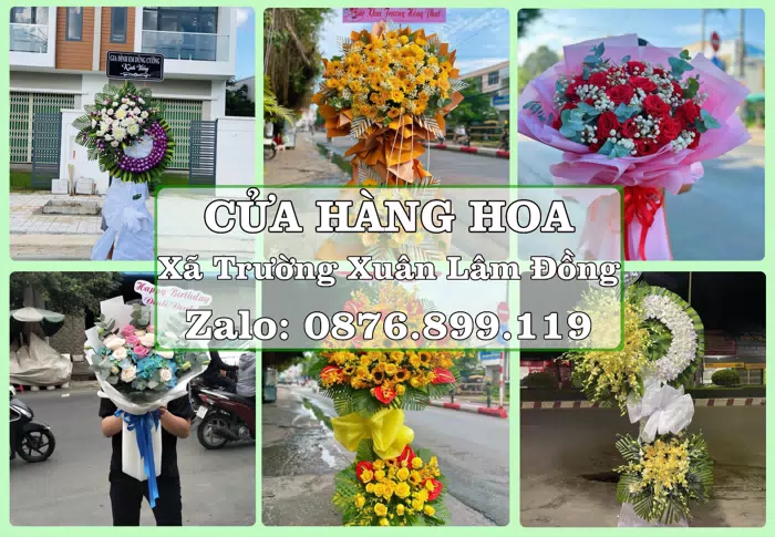 Shop hoa tươi tại Xã Trường Xuân Lâm Đồng – Tư vấn hoa và trái cây theo ngân sách · ảnh 1
