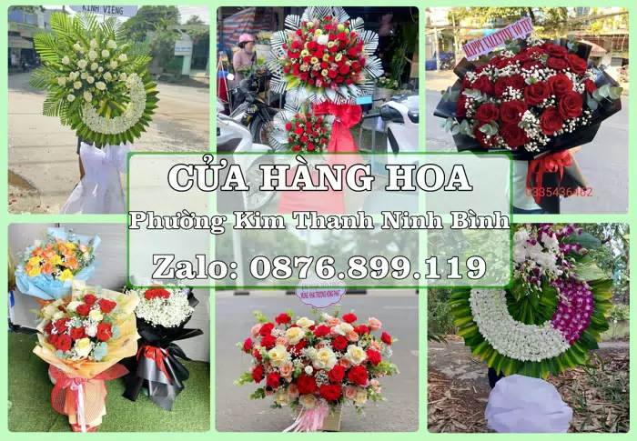 Shop hoa tươi tại Phường Kim Thanh Ninh Bình – Gửi lời quan tâm bằng hoa và trái cây · ảnh 1