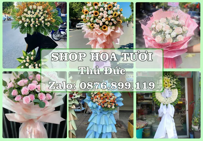 Shop hoa tươi tại Thủ Đức – Hoa tươi và trái cây, dễ chọn theo từng dịp · ảnh 1