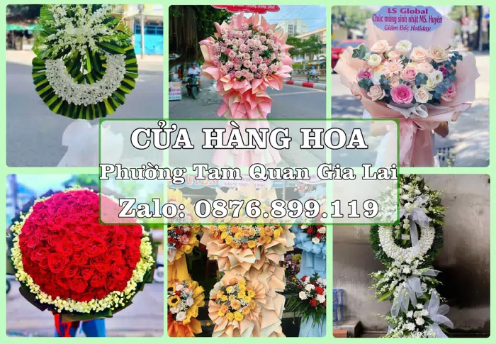 Shop hoa tươi tại Phường Tam Quan Gia Lai – Hoa xinh, trái cây cho những dịp gần gũi · ảnh 1