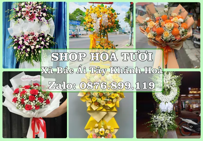 Shop hoa tươi tại Xã Bác Ái Tây Khánh Hoà – Hoa xinh, trái cây cho những dịp gần gũi · ảnh 1