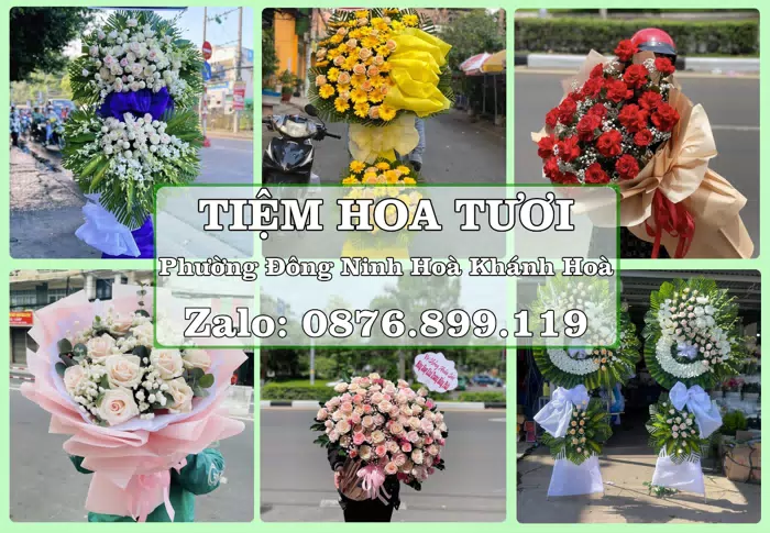 Shop hoa tươi tại Phường Đông Ninh Hoà Khánh Hoà – Chọn hoa, chọn giỏ quà thật chu đáo · ảnh 1
