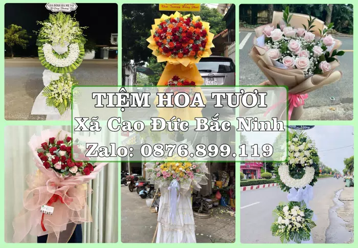 Shop hoa tươi tại Xã Cao Đức Bắc Ninh – Đặt quà gửi người thân từ xa · ảnh 1