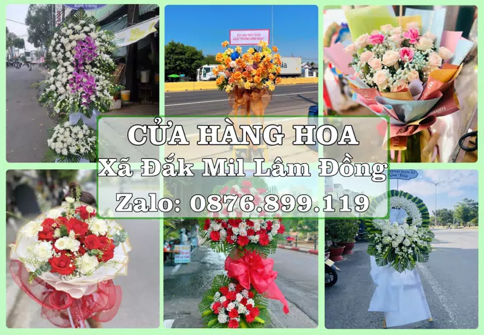 Shop hoa tươi tại Xã Đắk Mil Lâm Đồng – Hoa xinh, trái cây cho những dịp gần gũi · ảnh 1