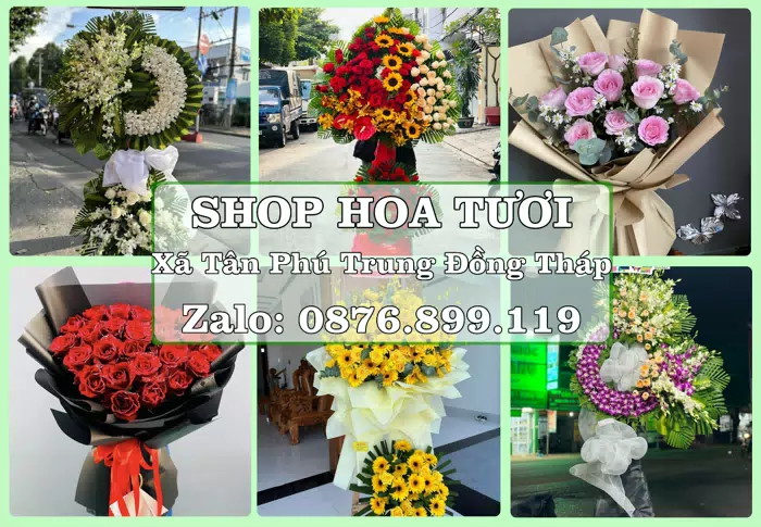 Shop hoa tươi tại Xã Tân Phú Trung Đồng Tháp – Hoa xinh, trái cây cho những dịp gần gũi · ảnh 1
