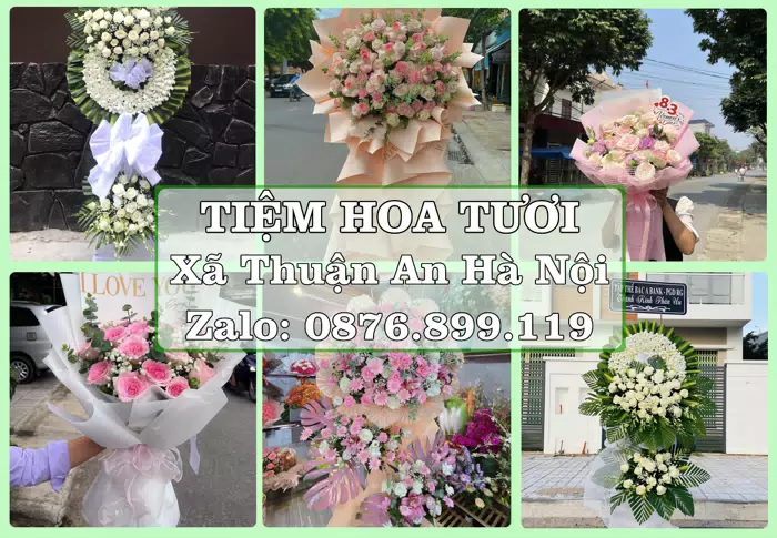 Shop hoa tươi tại Xã Thuận An Hà Nội – Gửi lời quan tâm bằng hoa và trái cây · ảnh 1
