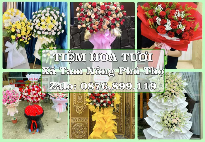 Shop hoa tươi tại Xã Tam Nông Phú Thọ – Hoa chúc mừng, quà biếu theo nhu cầu · ảnh 1