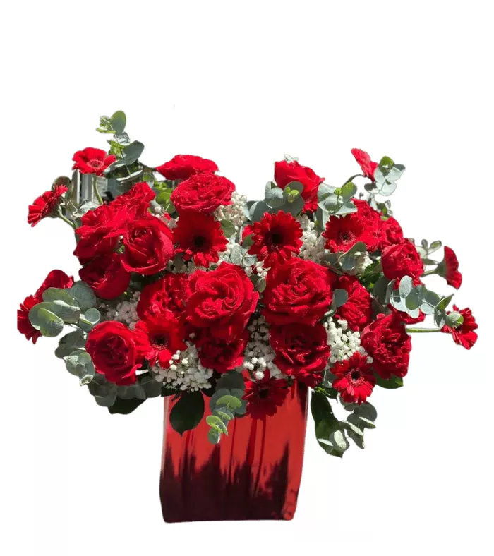Nắng Dịu – hộp hoa hồng