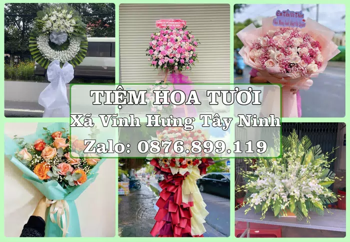 Shop hoa tươi tại Xã Vĩnh Hưng Tây Ninh – Gửi lời quan tâm bằng hoa và trái cây · ảnh 1