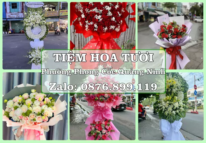 Shop hoa tươi tại Phường Phong Cốc Quảng Ninh – Tìm món quà hợp dịp, hợp người nhận · ảnh 1