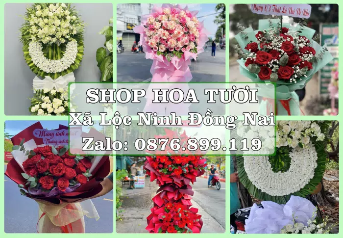 Shop hoa tươi tại Xã Lộc Ninh Đồng Nai – Hoa chúc mừng, quà biếu theo nhu cầu · ảnh 1