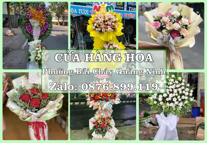 Shop hoa tươi tại Phường Bãi Cháy Quảng Ninh – Gửi lời quan tâm bằng hoa và trái cây · ảnh 1