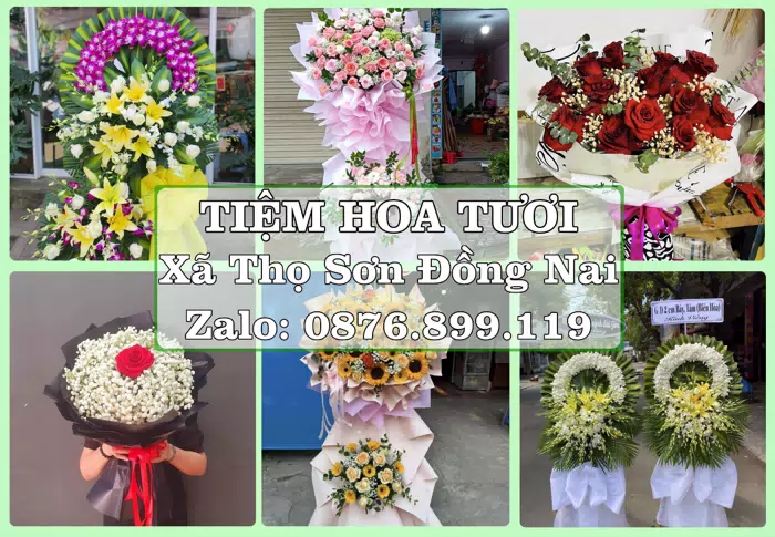 Shop hoa tươi tại Xã Thọ Sơn Đồng Nai – Gửi lời quan tâm bằng hoa và trái cây · ảnh 1