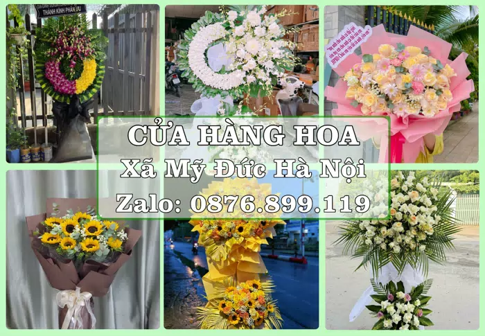 Shop hoa tươi tại Xã Mỹ Đức Hà Nội – Tư vấn hoa và trái cây theo ngân sách · ảnh 1