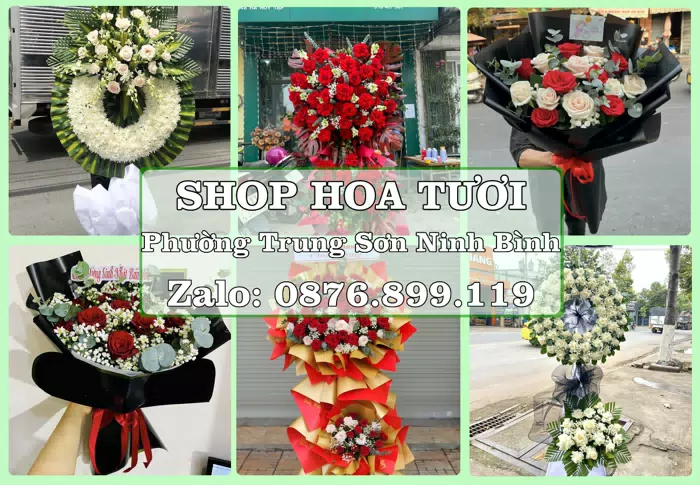 Shop hoa tươi tại Phường Trung Sơn Ninh Bình – Gửi lời quan tâm bằng hoa và trái cây · ảnh 1