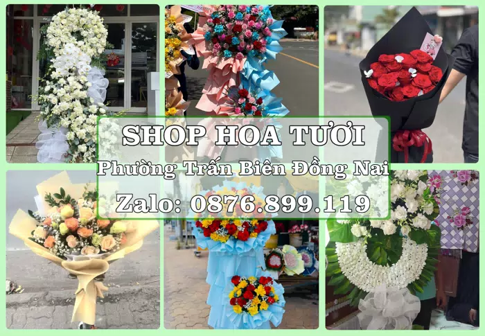 Shop hoa tươi tại Phường Trấn Biên Đồng Nai – Hoa xinh, trái cây cho những dịp gần gũi · ảnh 1