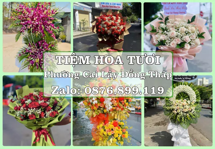 Shop hoa tươi tại Phường Cai Lậy Đồng Tháp – Đặt quà gửi người thân từ xa · ảnh 1