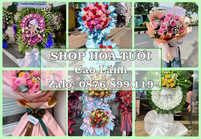 Shop hoa tươi tại Cao Lãnh – Hoa xinh, trái cây cho những dịp gần gũi · ảnh 1