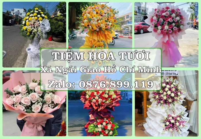 Shop hoa tươi tại Xã Ngãi Giao Hồ Chí Minh – Hoa chúc mừng, quà biếu theo nhu cầu · ảnh 1